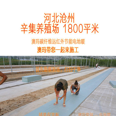 河北滄州辛集養(yǎng)殖場(chǎng)