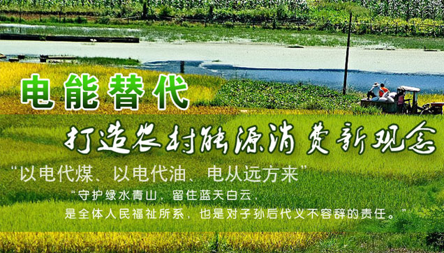 關(guān)于推進(jìn)電能替代的指導(dǎo)意見(jiàn) 關(guān)于推進(jìn)電能替代的指導(dǎo)意見(jiàn)